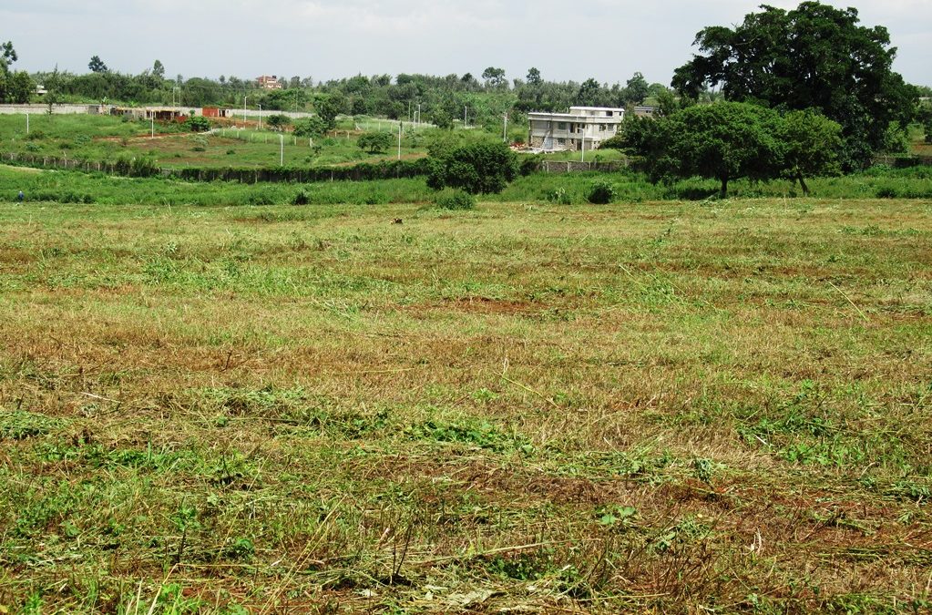 Quels sont les avantages de l’achat de terrains pour des projets de construction de logements sociaux ?